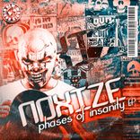 Artwork für "Phases Of Insanity EP"
