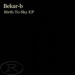 Portada para "Birth To Sky"