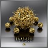 A Fairy In The Forest