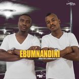 Artwork voor "Ebumnandini"