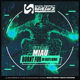 Portada para "Burnt fur"