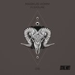 Artwork für "Pleasure"