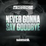 Artwork voor "Never Gonna Say Goodbye"