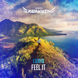 Artwork voor "Feel It"