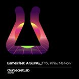 Artwork für "If You Knew Me Now"