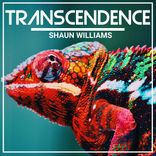 Artwork for "Transcendence"