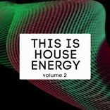 Artwork voor "This is House Energy , Vol.2"