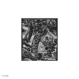 Portada para "Rebirth"