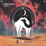 Artwork for "Circuits"