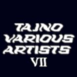 Artwork für "Tajno Various Artists VII"