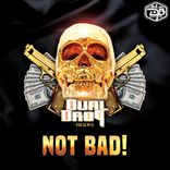 Artwork for "Not Bad"