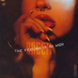 The Feeling is So High