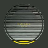 Artwork für "Stash"