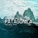 Artwork for "Patagonica"