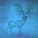 Artwork for "Stammtisch Summer Essential Collection"