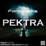 Artwork for "Pektra"