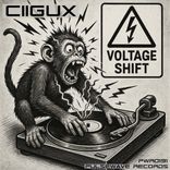 Portada para "Voltage Shift"