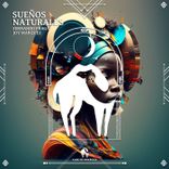 Artwork für "Sueños Naturales"