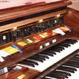 Portada para "Bobby Business"