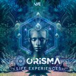 Artwork voor "Life Experiences"