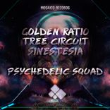 Artwork for "Psychedelic Squad"
