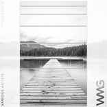 Artwork voor "VIP Mixes, Vol. 12"