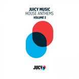 Portada para "Juicy Music Presents House Anthems, Vol. 5"