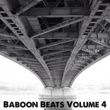 Artwork for "Baboon Beats Vol. 4"