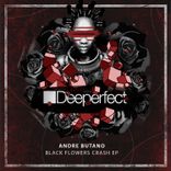 Artwork voor "Black Flowers Crash"