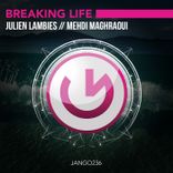 Artwork voor "Breaking Life"