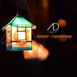 Artwork voor "Never Runaway"