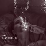 Artwork for "Can You Feel It"