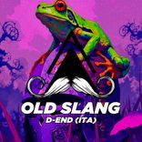 Artwork voor "Old Slang"