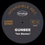 Portada para "Ion Beams"