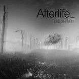 Artwork for "Afterlife"