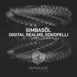 Artwork voor "Digital Realms, Kokopelli"