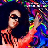 Funky Vibes Vol 3