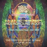 Subterranean Nucleus