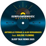 Portada para "Sleep Talk Rmx 2025"
