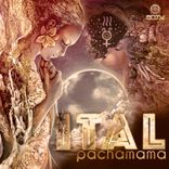 Artwork for "Pachamama"