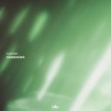 Artwork für "meadowlark"