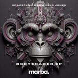 Artwork for "Bodyshaker EP"