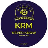Portada para "Never Know"
