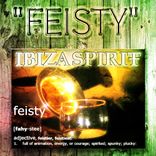 Artwork for ""Feisty""