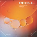 Artwork voor "Idrofilia"