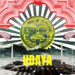 Portada para "Beyond Boundaries"