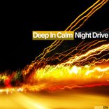 Artwork für "Night Drive"
