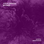 Artwork for "Wynd"