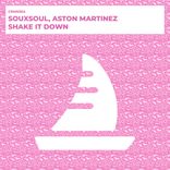 Artwork for "Shake It Down"