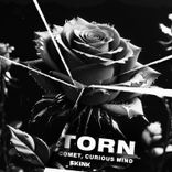 Artwork for "Torn"